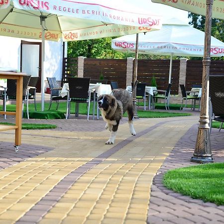 Pensiune Restaurant Flamingo Sighetu Marmaţiei Exteriér fotografie