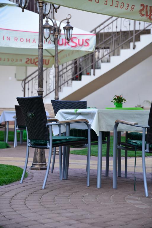 Pensiune Restaurant Flamingo Sighetu Marmaţiei Exteriér fotografie